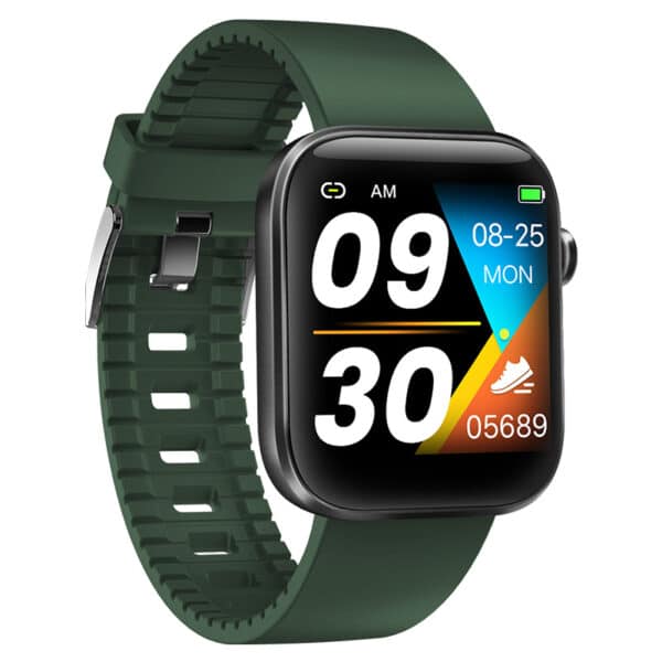 Smart Watch GT2